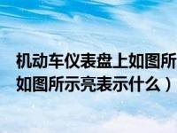 机动车仪表盘上如图所示亮表示什么危险（机动车仪表盘上如图所示亮表示什么）