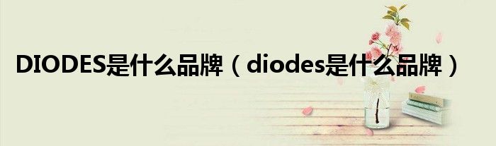 DIODES是什么品牌（diodes是什么品牌）