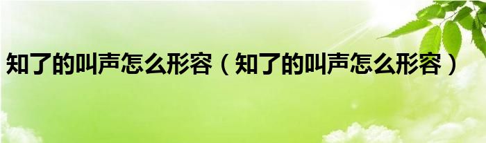 知了的叫声怎么形容（知了的叫声怎么形容）