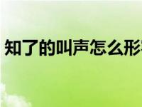 知了的叫声怎么形容（知了的叫声怎么形容）