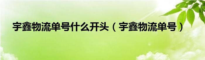 宇鑫物流单号什么开头（宇鑫物流单号）