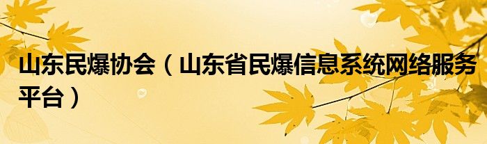 山东民爆协会（山东省民爆信息系统网络服务平台）