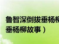 鲁智深倒拔垂杨柳故事情节概括（鲁智深倒拔垂杨柳故事）