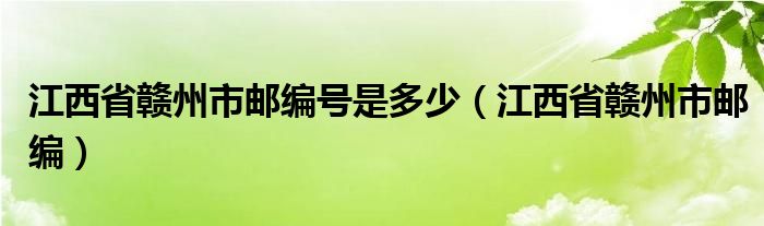 江西省赣州市邮编号是多少（江西省赣州市邮编）