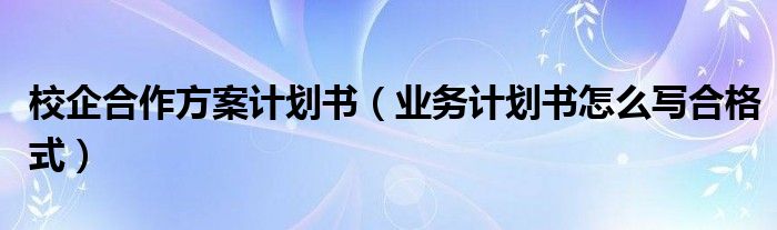 校企合作方案计划书（业务计划书怎么写合格式）