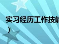 实习经历工作技能怎么写（实习经历工作描述）