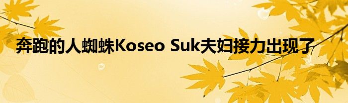 奔跑的人蜘蛛Koseo Suk夫妇接力出现了