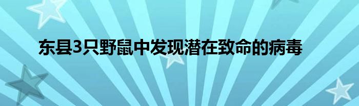 东县3只野鼠中发现潜在致命的病毒