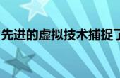 先进的虚拟技术捕捉了漂白后珊瑚礁如何恢复